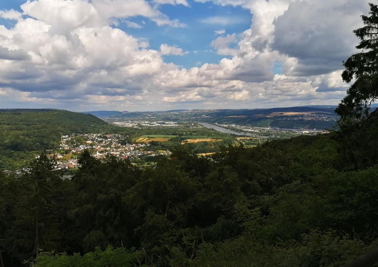 Ferienwohnung Grete 特里尔 外观 照片
