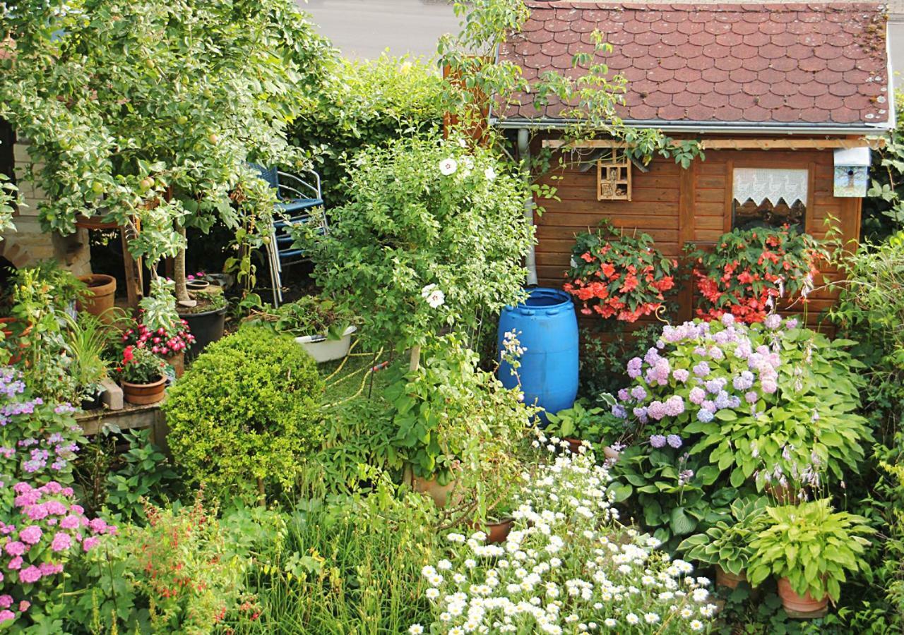 Ferienwohnung Grete 特里尔 外观 照片